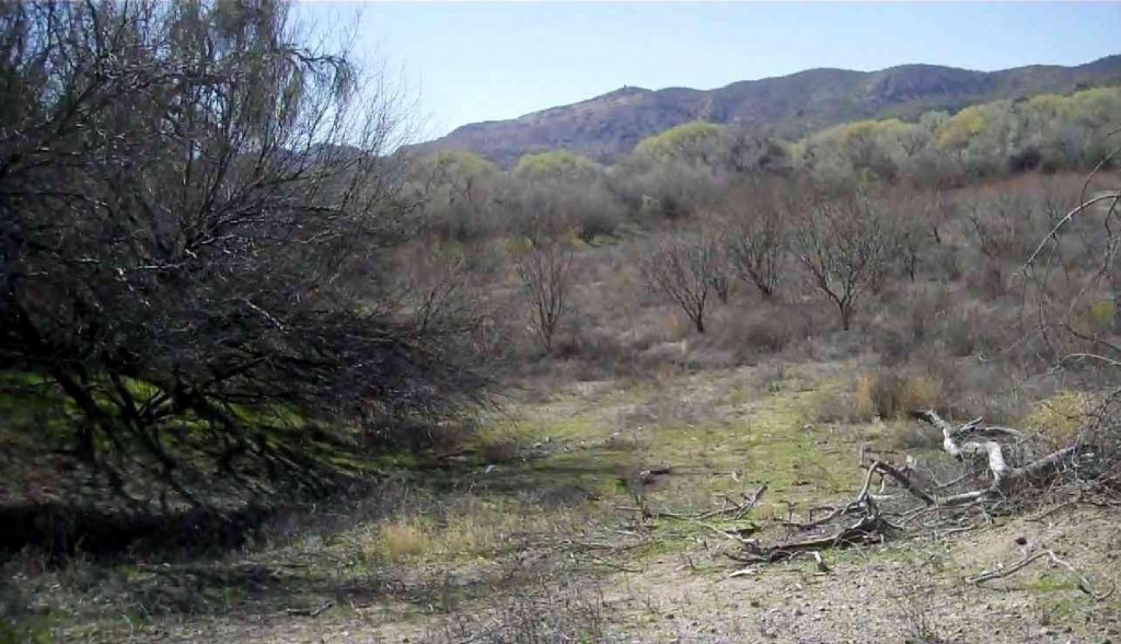 Feldman Ranch - Dry Lake Bed