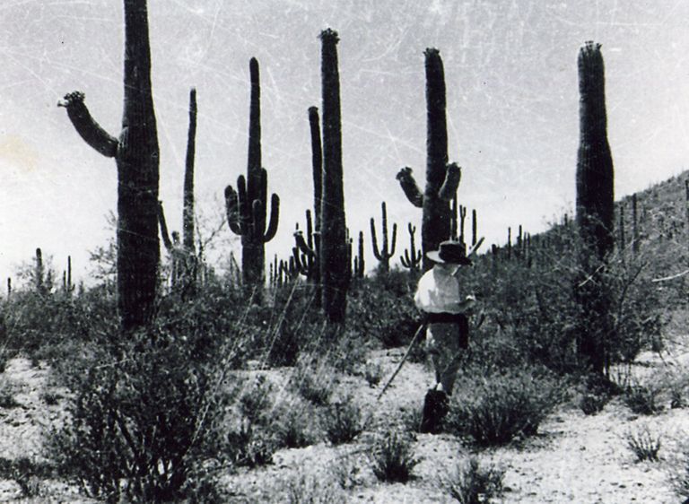 Catherine Reidy Hunting Rattlesnakes