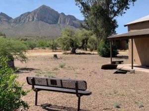 Henry K. Zipf Memorial Bench 2024