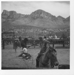 Cowboys Branding Cattle at Steam Pump Ranch