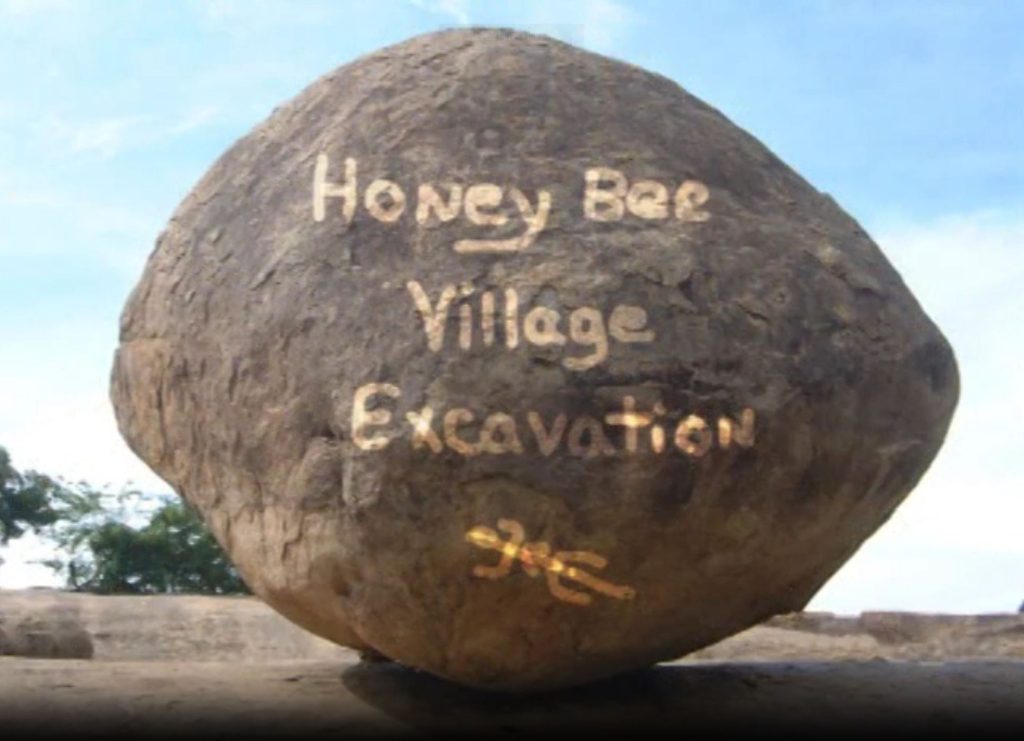 Honey Bee Village Excavation Video with Henry Wallace of Desert Archaeology.