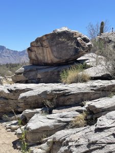 Both Sides of Honey Bee Canyon Petroglyph. Photo Taken April 2025.
