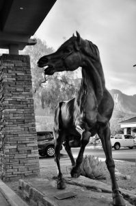 Black and White Photo of The Spirit of Oro Valley Bronze Horse Sculpture at Steam Pump Vllage