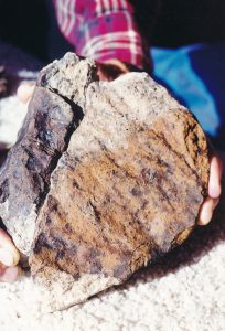 Large Meteorite at Gold Basin, c. 1996 - 1998