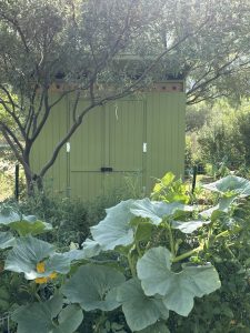 Front view of new green shed in Heritage Garden September 2025 with Plants
