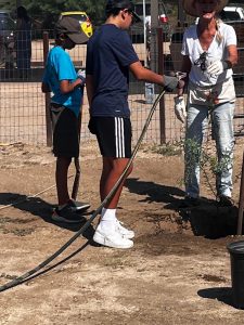 Two Boys from Troop 299, Oro Valley Catalina Council Scouting America Planting Native Trees at Steam Pump Ranch August 2025