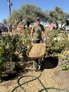 Man with a wheelbarrow of wood chips in the Heritage Garden at Steam Pump Ranch October 2025