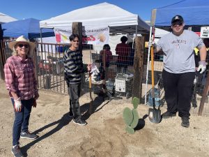 Two men planting a cactus at United Way Days of Caring at Heritage Garden_October 2025