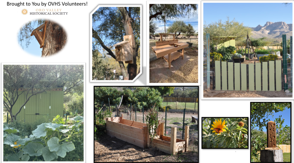 Heritage Garden Project Collage of bird houses, sheds, work benches, etc. December 2025