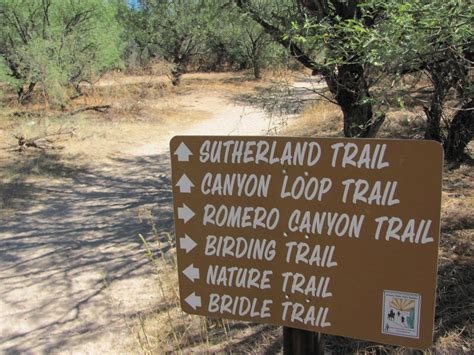 Catalina State Park: A Vision Realized