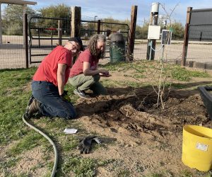 Garden Volunteers Planting Wild Flowers_February 2026