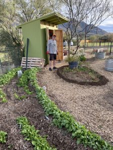 Garden Volunteers on Wednesday Meet Ups_February 2026
