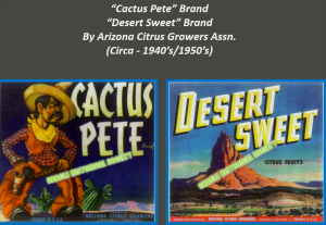 ARIZ-GLO Brand - Citrus and Saguaros Oracle Historical Society - Cactus Pete Poster - watermarked