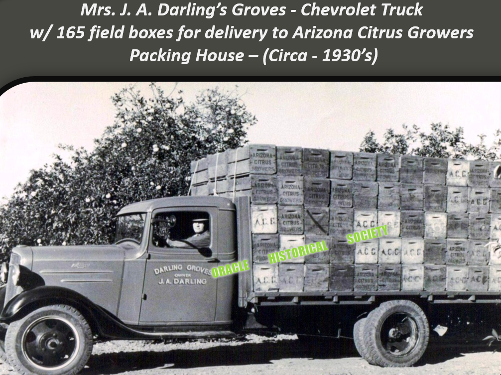 ARIZ-GLO Brand - Citrus and Saguaros Oracle Historical Society - Man sitting in Darling Groves Chevrolet Truck fully loaded with citrus crates- watermarked