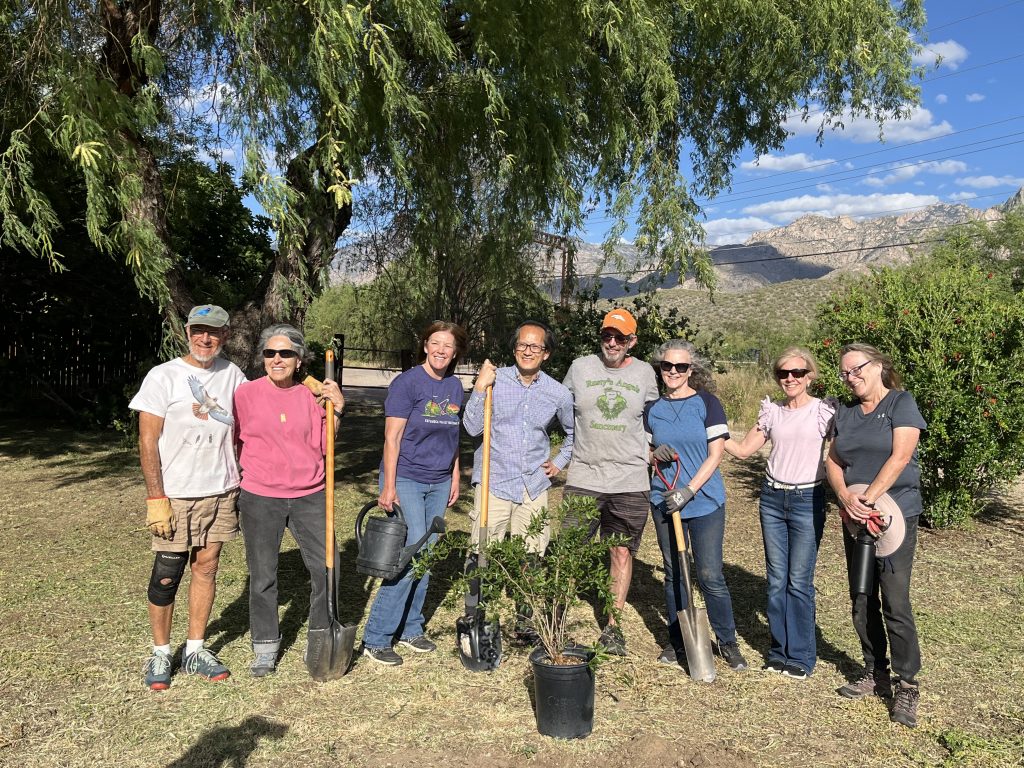 Garden Volunteers Planting Pomegranite Tree Donated by Tucson Garden Club - Oro Valley, April 2026
