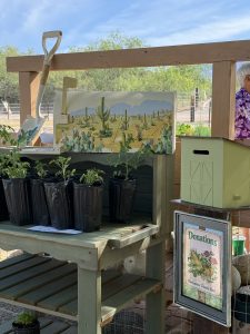 Heritage Garden Donation Box Replica of the Shed by Denzil Walker, April 2026, Its bright green on a wooden post.