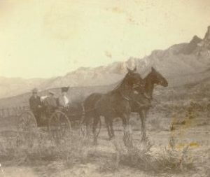 Pusch Family in Horse and Carriage