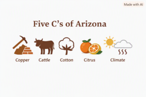 Five C's of Arizona Illustration